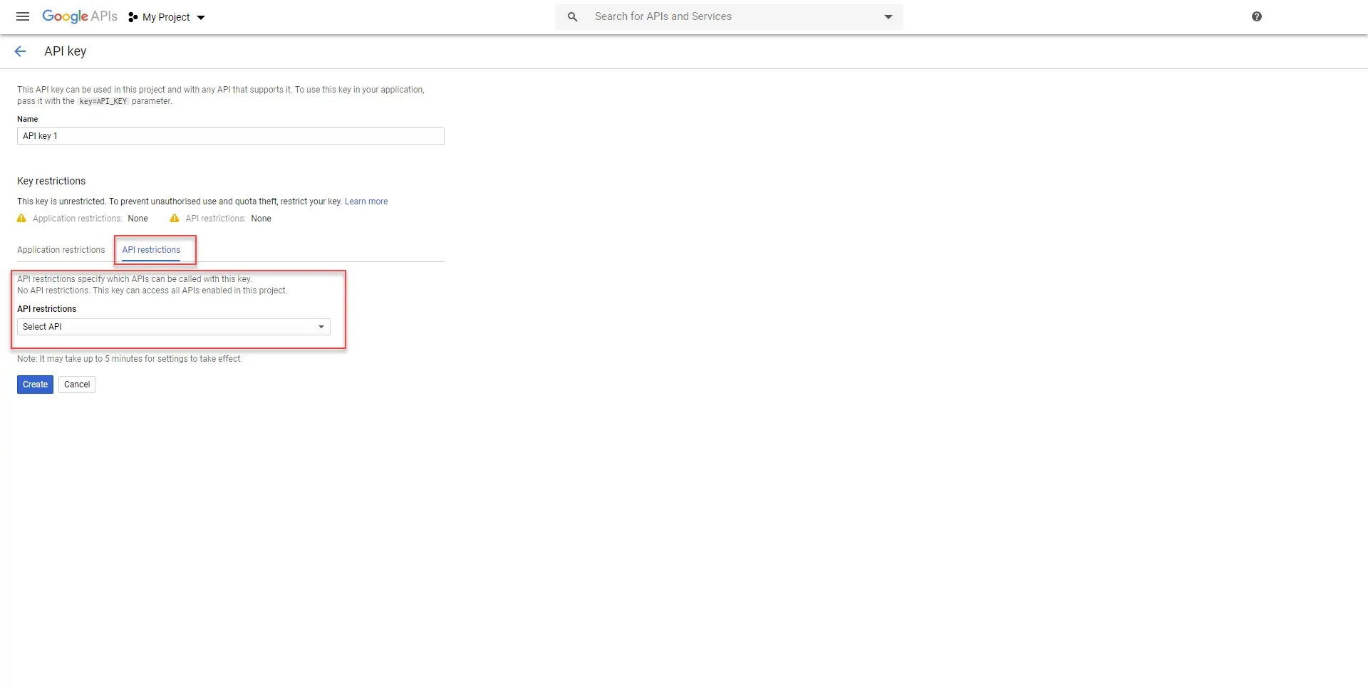 API restrictions dropdown